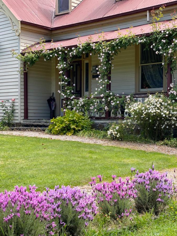 Cambridge House Breakfast & Bed Geeveston Exterior foto