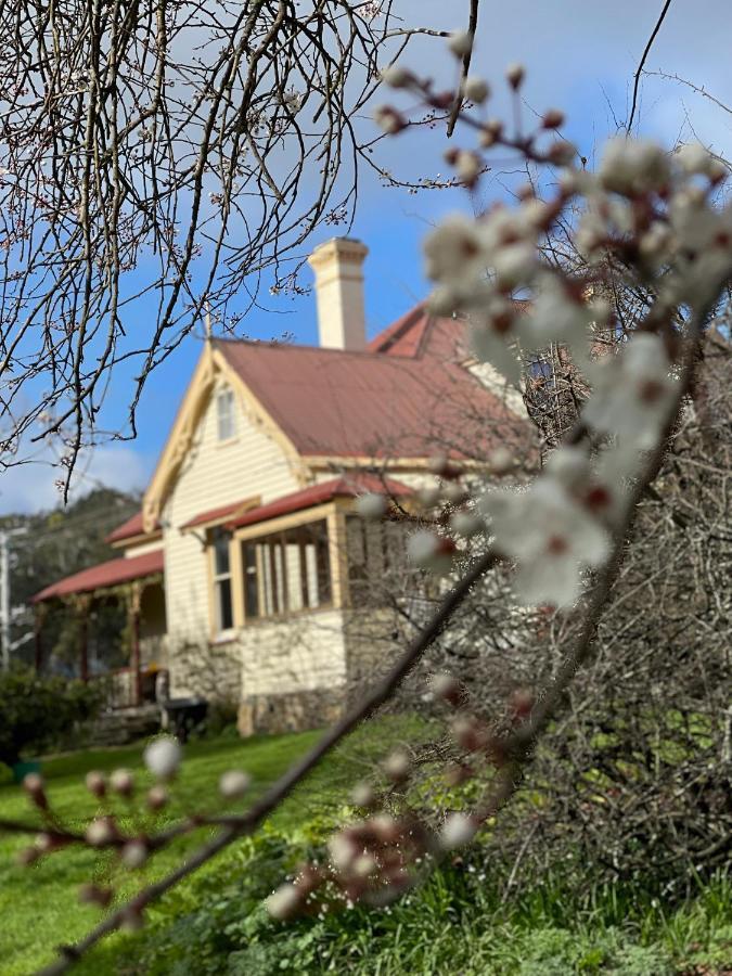 Cambridge House Breakfast & Bed Geeveston Exterior foto